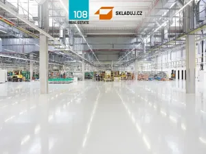 Pronájem skladu, Nový Jičín, Hřbitovní, 5000 m2