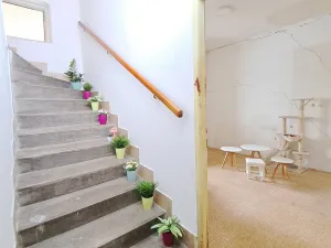 Prodej rodinného domu, Brno, Bělohorská, 122 m2