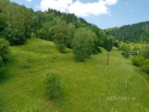 Prodej pozemku pro bydlení, Bečov nad Teplou, 18621 m2
