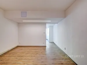 Prodej kanceláře, Plzeň - Severní Předměstí, Bzenecká, 39 m2