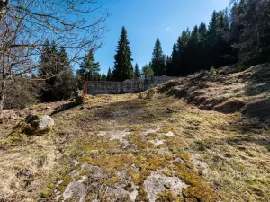 Prodej pozemku pro bydlení, Stožec, okres prachatice, 10137 m2
