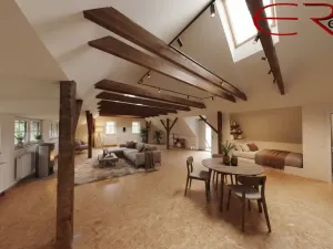 Prodej ubytování, Pěnčín - Alšovice, 780 m2
