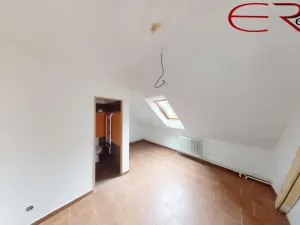 Prodej ubytování, Pěnčín - Alšovice, 780 m2