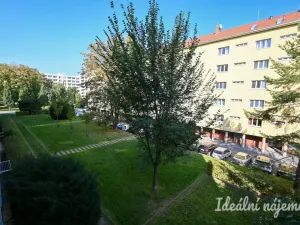 Pronájem bytu 3+1, Brno, Tábor, 81 m2