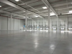 Pronájem skladu, Ostrava - Vítkovice, 9827 m2