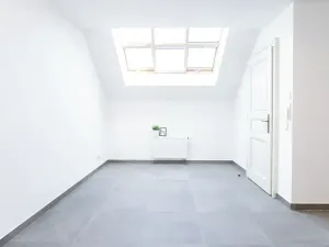 Pronájem bytu 1+1, Praha - Žižkov, Jeronýmova, 46 m2