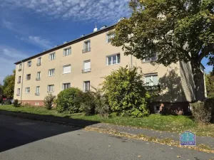 Prodej bytu 2+1, Stříbro, Západní Předměstí, 58 m2