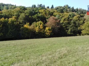 Prodej pole, Podkopná Lhota, 9092 m2