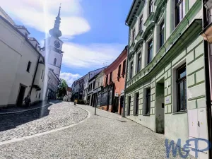 Prodej obchodního prostoru, Třebíč, Hasskova, 240 m2