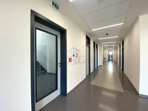 Pronájem kanceláře, Brno - Štýřice, Pražákova, 21 m2