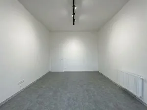 Pronájem obchodního prostoru, Plzeň - Vnitřní Město, náměstí Republiky, 48 m2