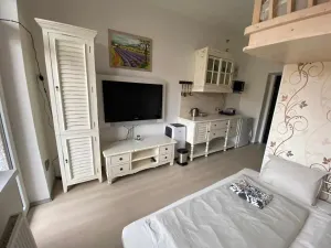 Pronájem bytu 1+kk, Slapy, 31 m2