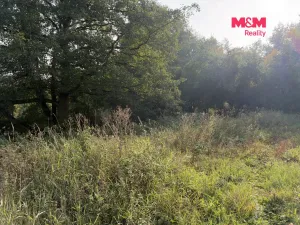 Prodej pozemku, Údlice, 2259 m2