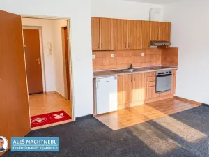 Prodej bytu 1+kk, Albrechtice v Jizerských horách, 30 m2