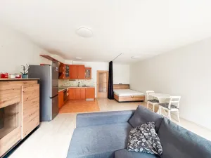 Pronájem bytu 1+kk, Praha - Letňany, Chotěšovská, 48 m2