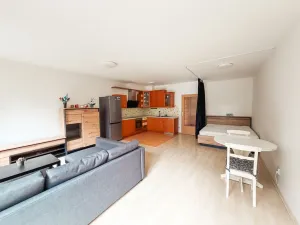 Pronájem bytu 1+kk, Praha - Letňany, Chotěšovská, 48 m2