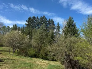 Prodej pozemku, Hrubá Skála - Doubravice, 2827 m2
