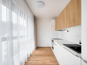 Pronájem bytu 3+kk, Praha - Karlín, Pernerova, 67 m2