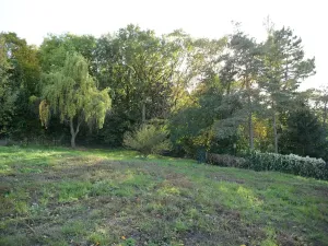 Prodej pozemku pro bydlení, Větrušice, Úzká, 810 m2