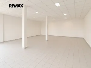 Prodej obchodního prostoru, Břeclav, Národních hrdinů, 161 m2