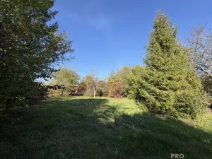 Prodej zahrady, Havířov, Luční, 933 m2