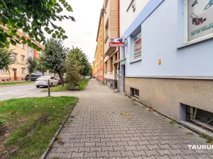 Prodej bytu 2+1, Plzeň - Jižní Předměstí, Lukavická, 117 m2