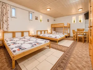Prodej ubytování, Strachotín, Sklepní, 285 m2