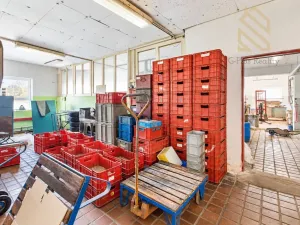 Prodej výrobních prostor, Tisá, 4560 m2
