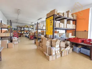 Prodej výrobních prostor, Tisá, 4560 m2