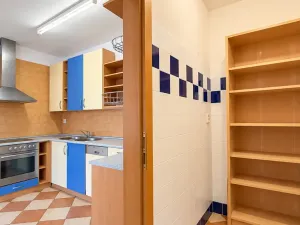 Prodej bytu 4+1, Praha - Vinohrady, Francouzská, 140 m2