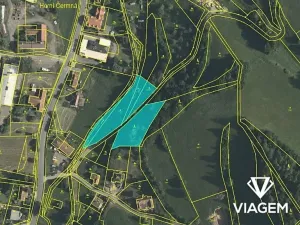 Prodej zahrady, Horní Čermná, 3980 m2