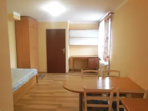 Pronájem bytu 1+kk, Zlín, třída Svobody, 21 m2