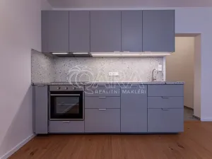Pronájem bytu 1+kk, Praha - Žižkov, Viklefova, 34 m2
