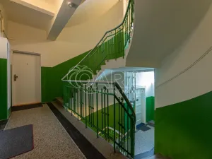 Pronájem bytu 1+kk, Praha - Žižkov, Viklefova, 34 m2