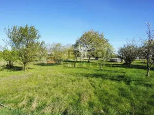 Prodej zahrady, Mělník, 9817 m2