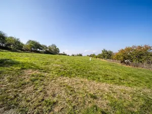 Prodej pozemku pro bydlení, Daleké Dušníky, 5258 m2