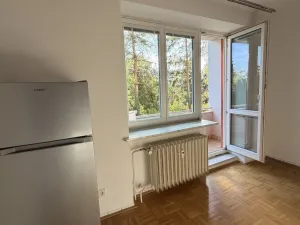 Pronájem bytu 1+1, Brno, Preslova, 38 m2