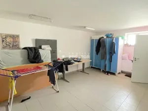 Pronájem skladu, Jirny, Tovární, 1100 m2