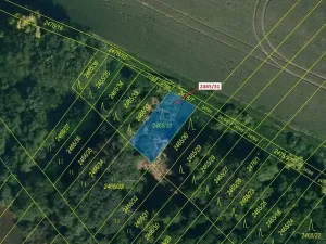 Dražba lesa, Horní Dunajovice, 263 m2