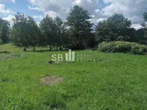 Prodej pozemku pro bydlení, Borová, 1405 m2