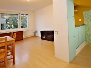 Pronájem bytu 1+kk, Praha, Rochovská, 27 m2