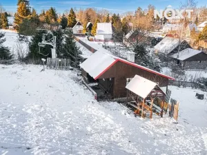 Prodej komerčního pozemku, Paseka, 5609 m2