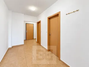 Pronájem bytu 1+kk, Liberec, Ořechová, 42 m2