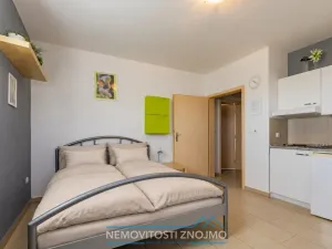 Prodej ubytování, Znojmo - Popice, 360 m2