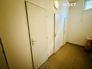 Prodej bytu 2+1, Plzeň, Černická, 65 m2