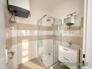 Pronájem bytu 2+1, Praha - Dejvice, Zemědělská, 57 m2