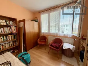 Prodej bytu 3+1, Planá, Fučíkova, 60 m2
