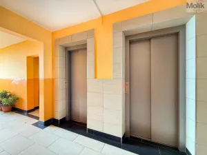 Prodej bytu 2+1, Osek, Hrdlovská, 52 m2