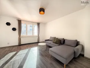 Prodej bytu 2+1, Teplice - Řetenice, V břízkách, 50 m2