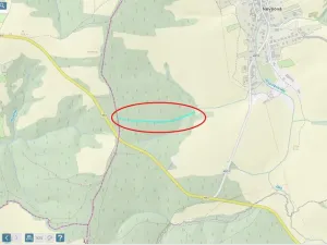 Prodej lesa, Slavičín - Nevšová, 4599 m2